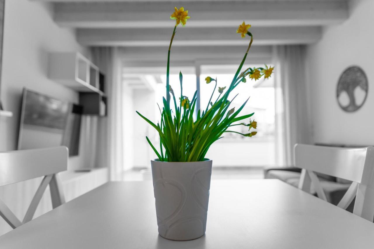 Verona Urban Apartment المظهر الخارجي الصورة